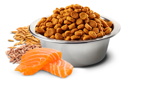 FARMINA N&D TROPICALS - SALMON, SPELT, OATS AND TROPICAL FRUITS ADULT MEDIUM & MAXI
