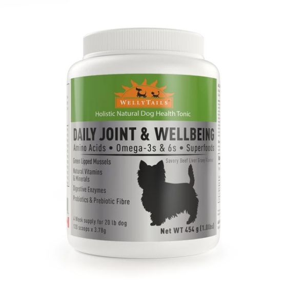 WELLYTAILS JOINT AND WELL BEING DOG