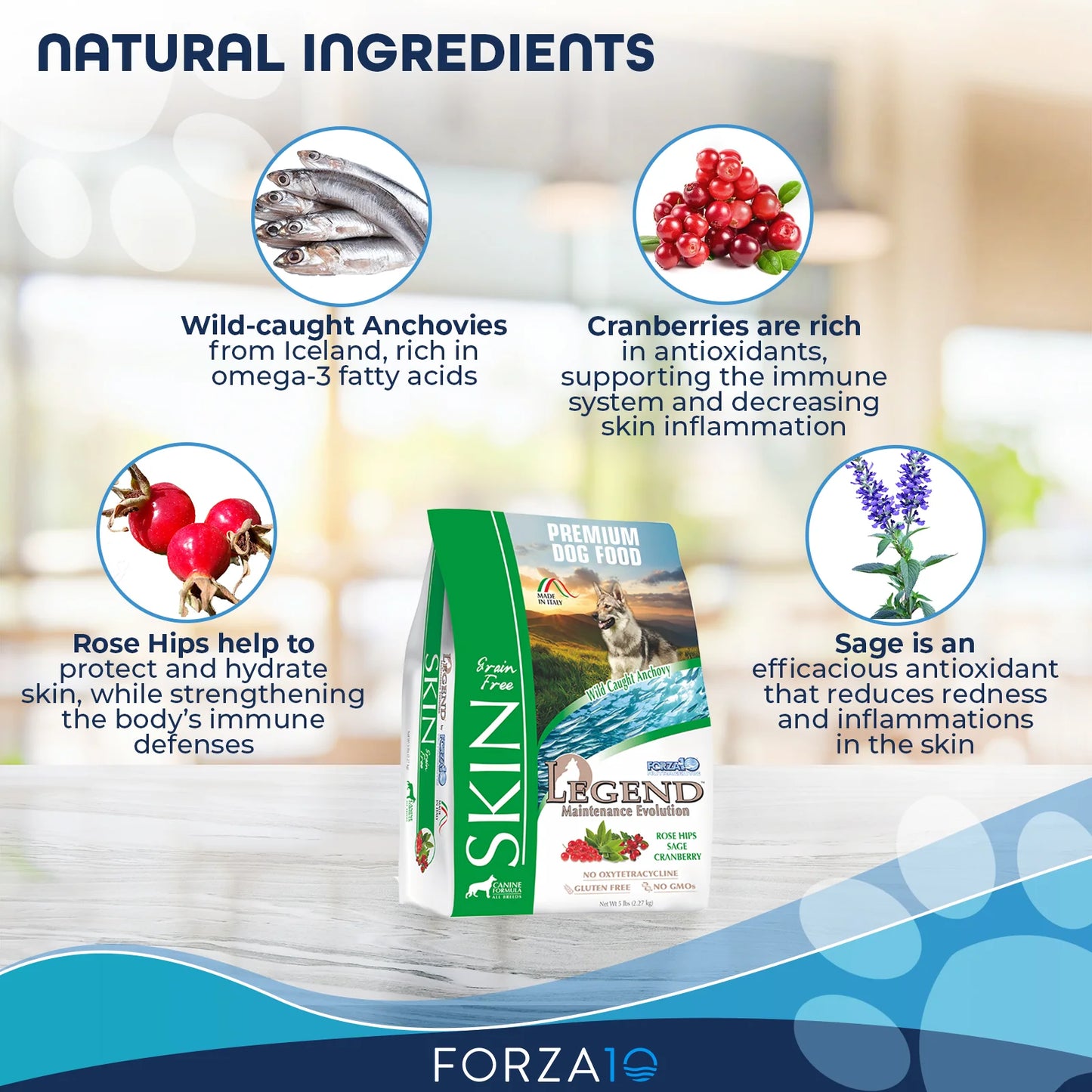 FORZA10 NUTRACEUTIC LEGEND SKIN GRAIN-FREE DRY DOG FOOD