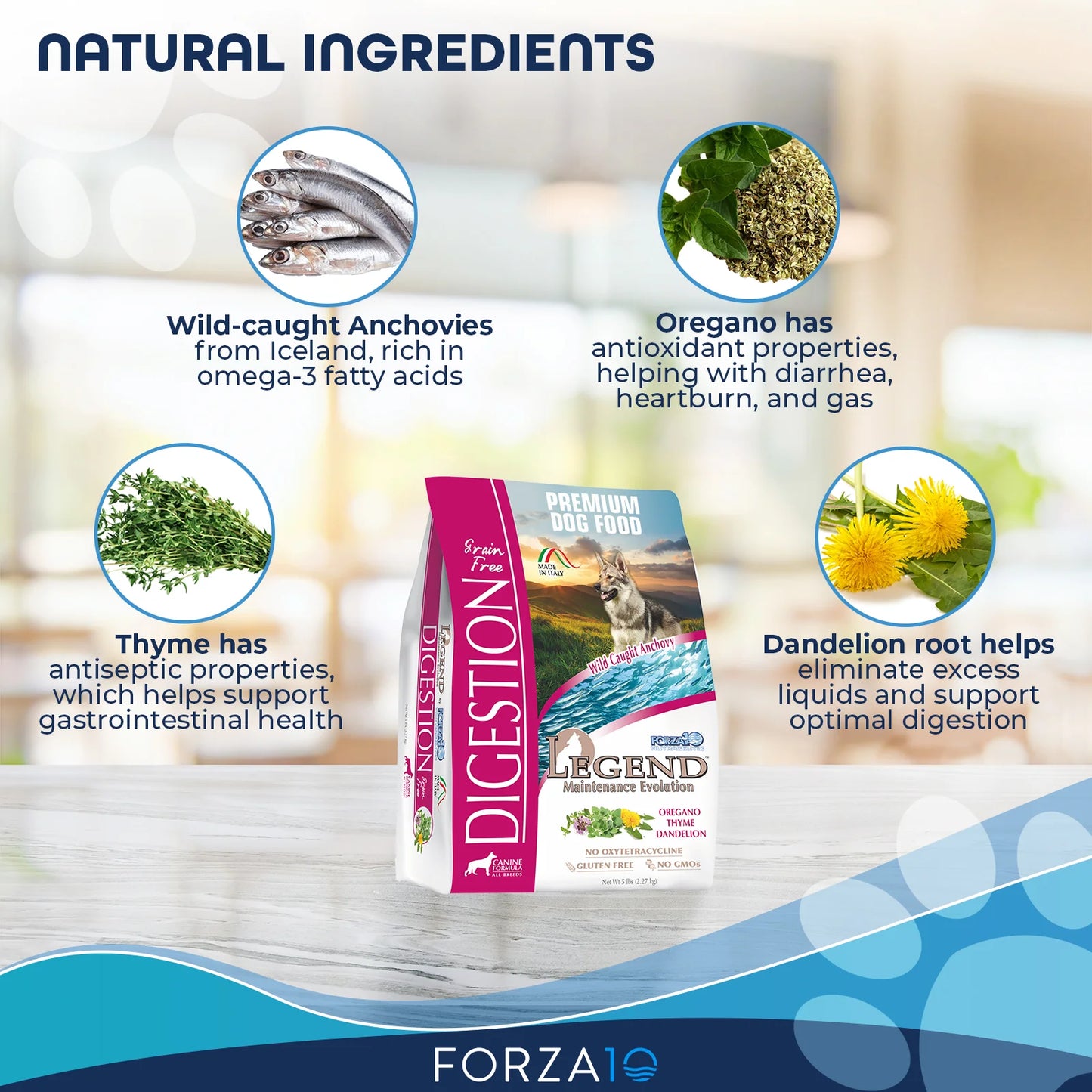 FORZA10 NUTRACEUTIC LEGEND : DIGESTION DRY DOG FOOD