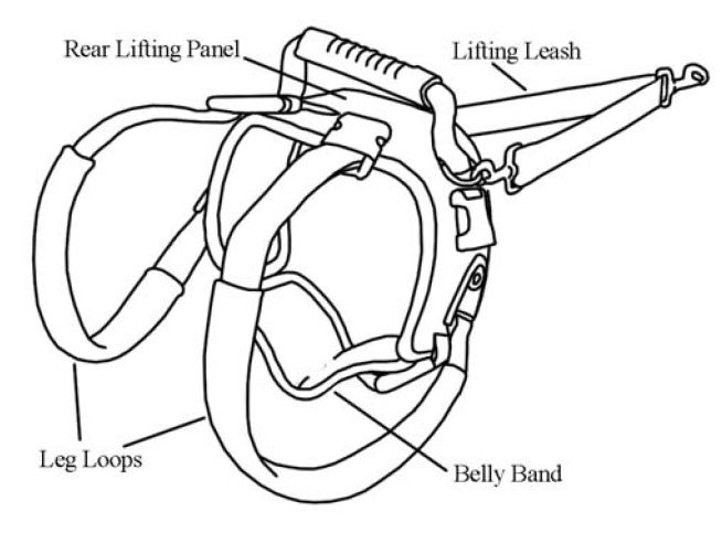 PetSafe Care Lift Rear Support Harness