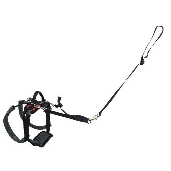PetSafe Care Lift Rear Support Harness