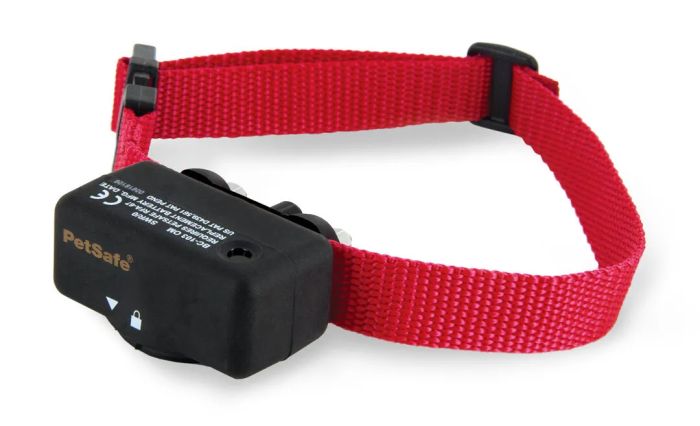 PetSafe Basic Bark Control Collar Dog 1pc – Bright Eyes Bushy Tails