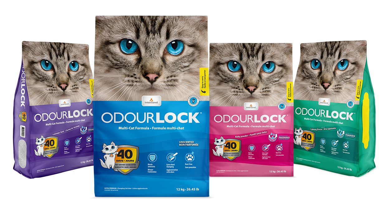 INTERSTAND ODOURLOCK ULTRA-PREMIUM MULTI CAT LITTER