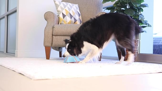 CHUCK IT!  INDOOR SLIDER