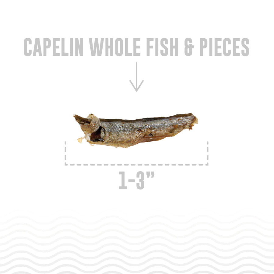 ICELANDIC CAPELIN WHOLE FISH DOG TREATS
