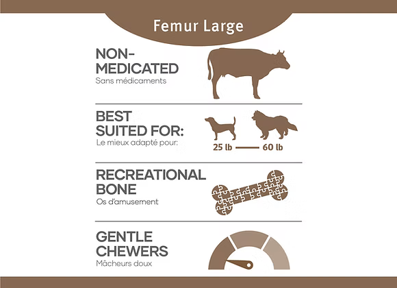 RED DOG BLUE KAT BEEF FEMUR FROZEN BONES
