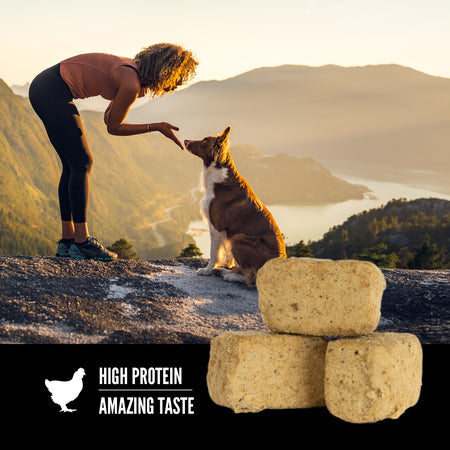 ORIJEN FREEZE-DRIED DOG TREATS - TUNDRA RECIPE