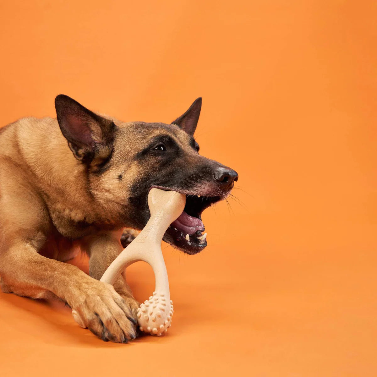 BETTERBONE DURABILLITY CHEW TOY : HARD DENSITY SUPER DURABLE CHEW TOY FOR STRONG & AFRESSIVE CHEWERS