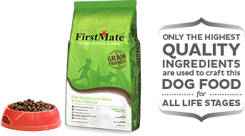 FIRSTMATE GRAIN FRIENDLY FREE RANGE LAMB & OATS DRY DOG FOOD