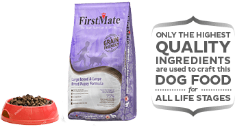 FIRSTMATE GRAIN FRIENDLY LARGE BREED & LARGE BREED PUPPY DRY DOG FOOD