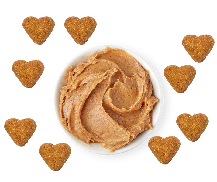 DARFORD GRAIN-FREE PEANUT BUTTER DOG TREATS