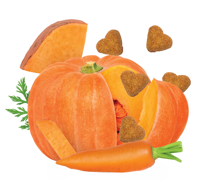 DARFORD GRAIN-FREE PUMPKIN & VEGETABLES RECIPE DOG TREATS