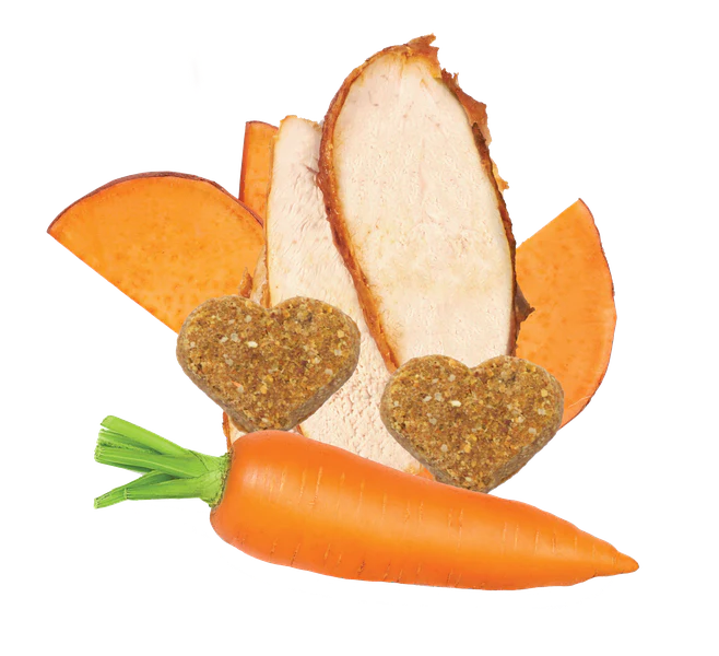 DARFORD GRAIN-FREE TURKEY& VEGETABLES RECIPE DOG TREATS
