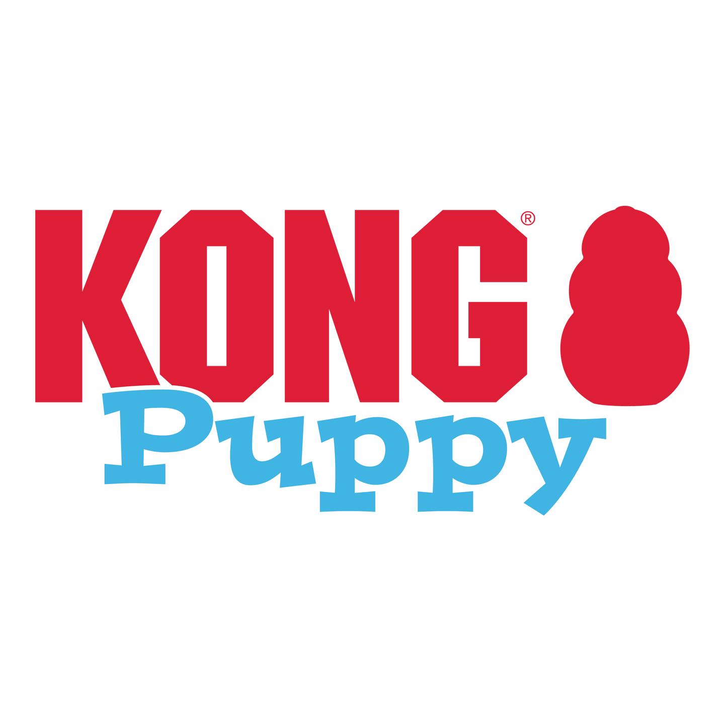 KONG PUPPY
