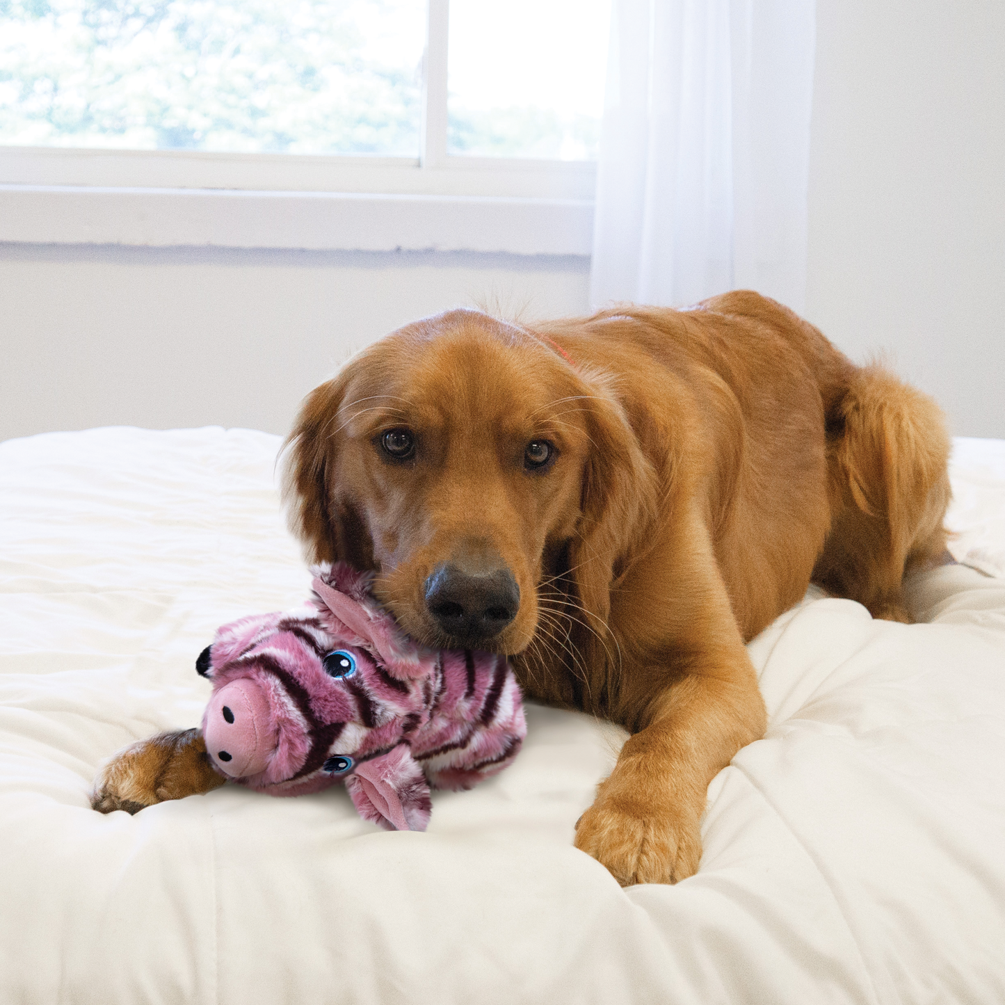 KONG LOW STRIPES PIG MEDIUM DOG TOY