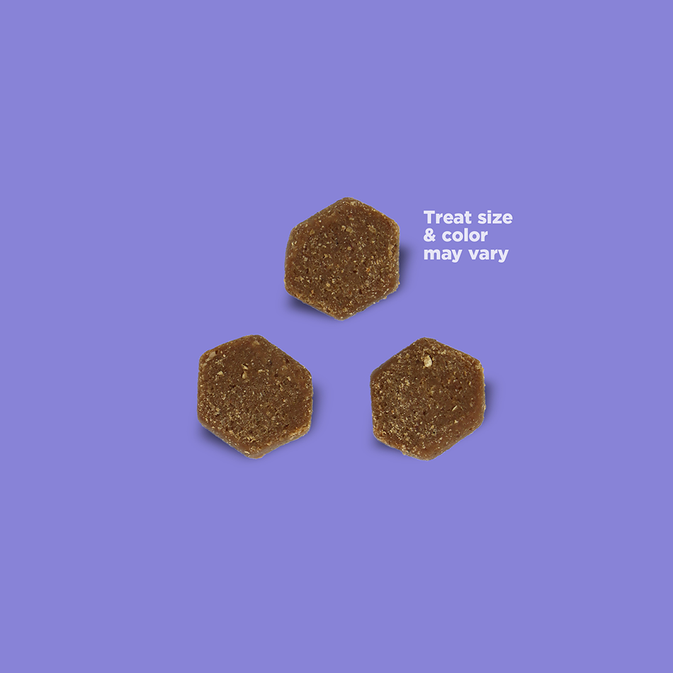 NUTRISOURCE® TROUT LITTLE BITES DOG TREAT