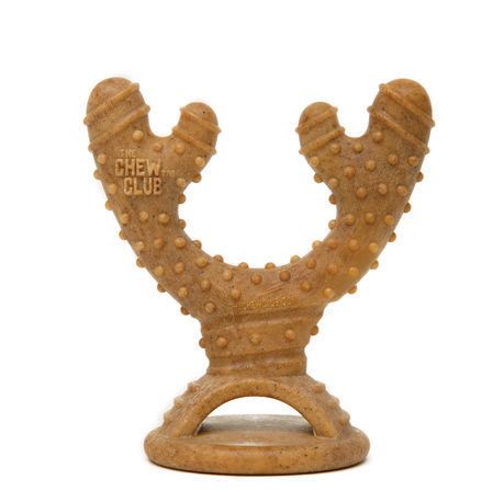 POWERBONE CHEW TOY FOR DOGS