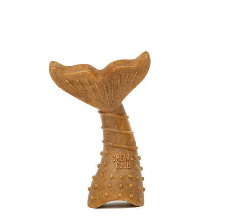 POWERBONE CHEW TOY FOR DOGS