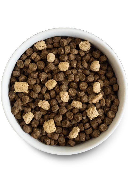 OPEN FARM® RAWMIX WILD OCEAN RECIPE GRAIN FREE DOG FOOD
