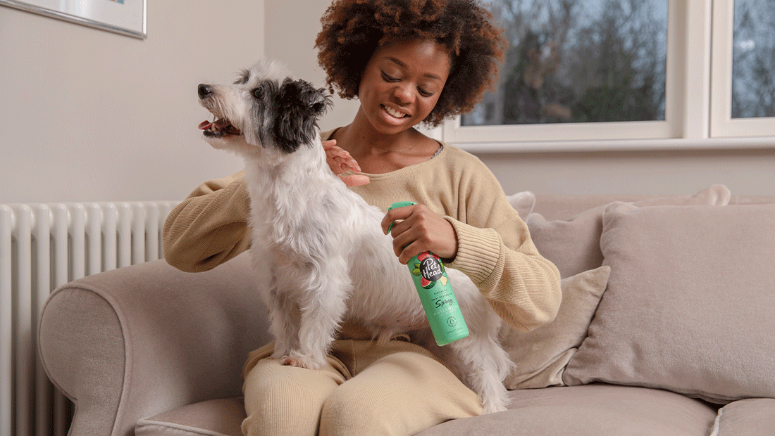 PET HEAD FURTASTIC KNOT DOG DETANGLER SPRAY
