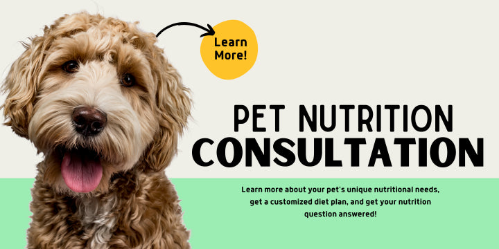 Pet Nutrition Consultation Service