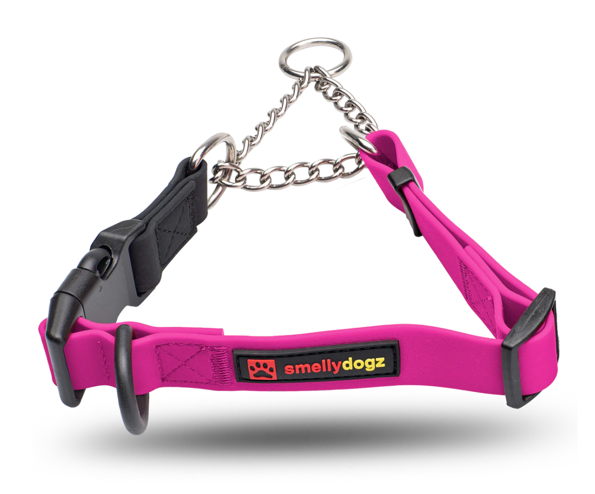 SMELLYDOGZ ADJUSTABLE MARTINGALE COLLAR - LARGE