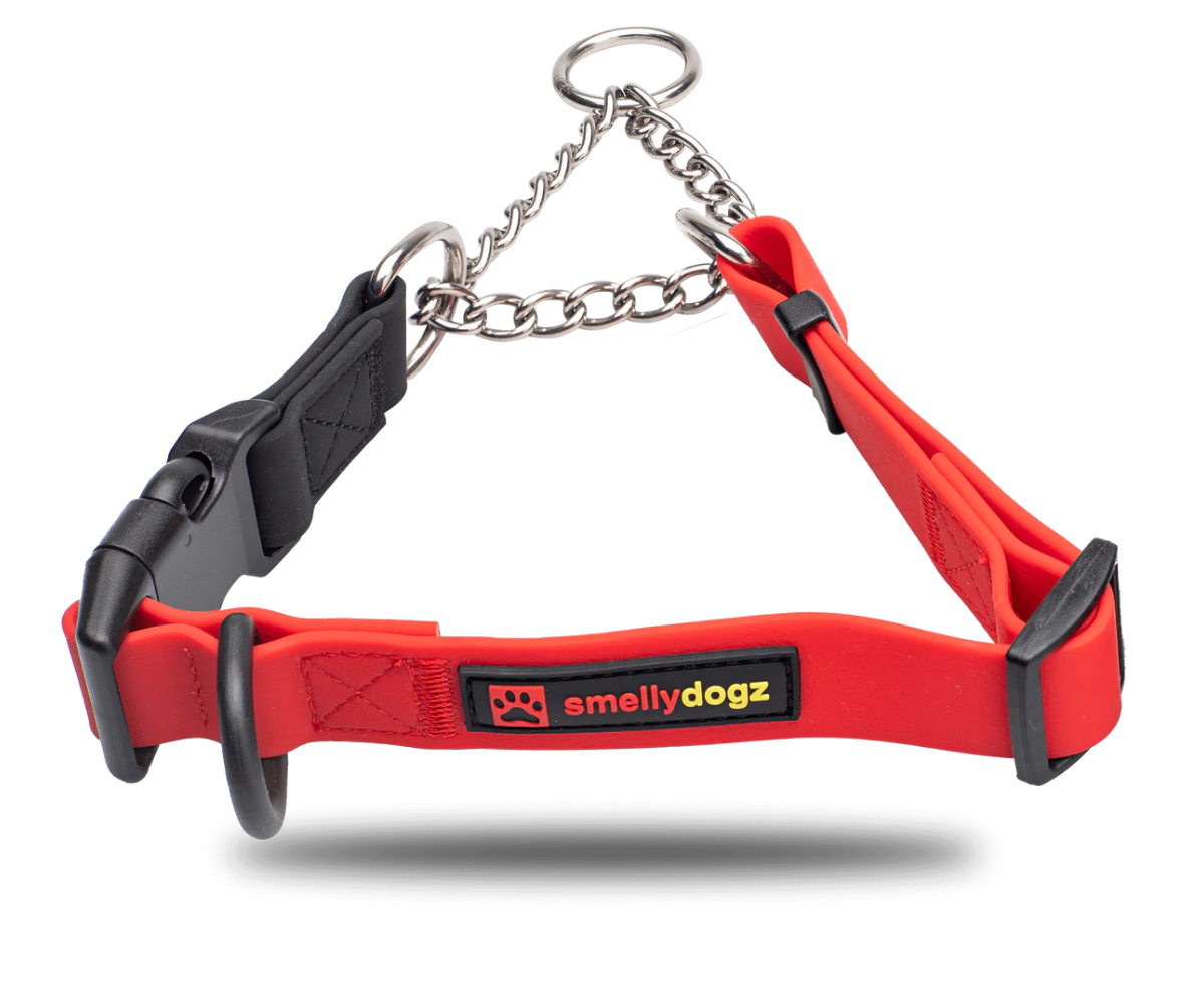 SMELLYDOGZ ADJUSTABLE MARTINGALE COLLAR - LARGE
