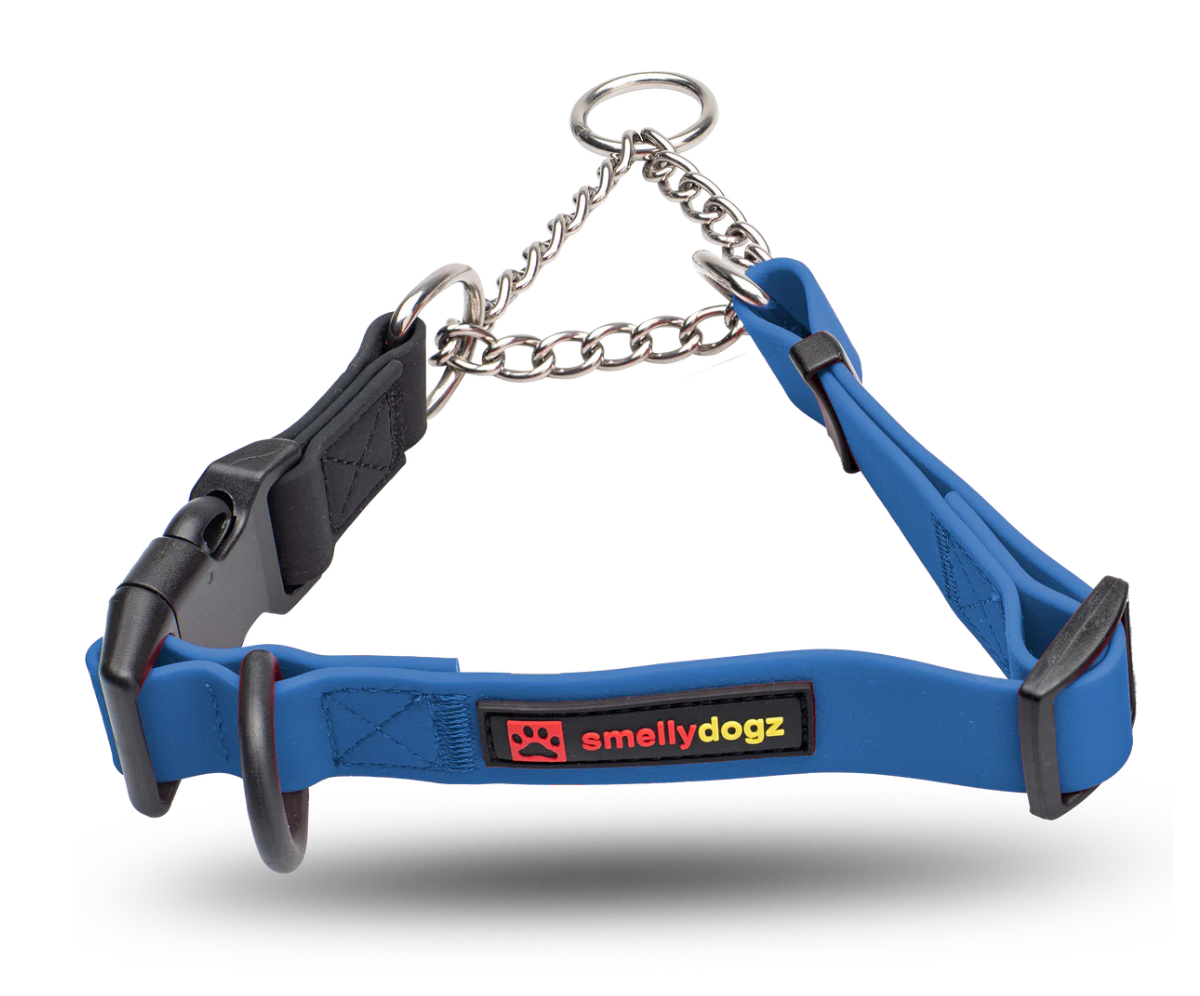 SMELLYDOGZ ADJUSTABLE MARTINGALE COLLAR - LARGE