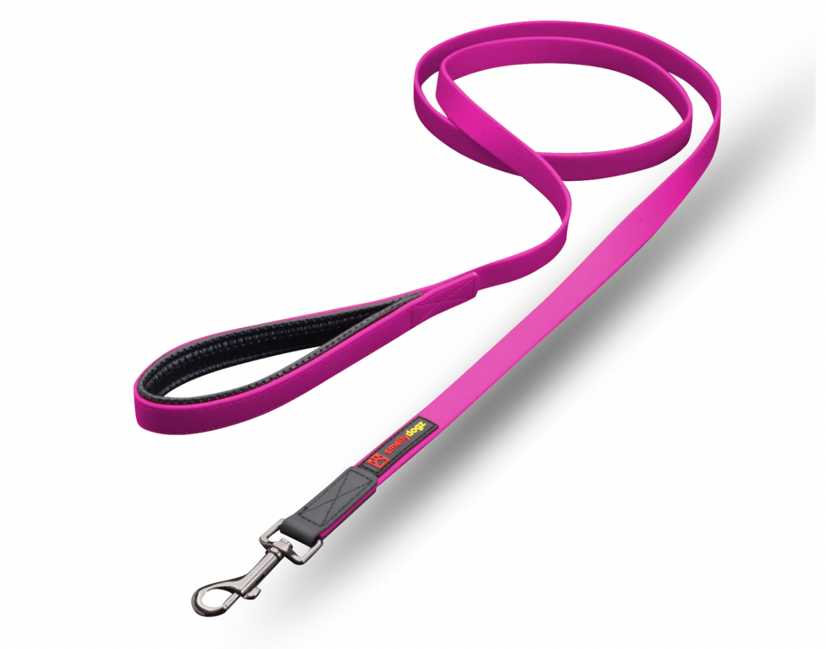 SMELLYDOGZ DOUBLE HANDLE LEAD - LARGE (6FT)