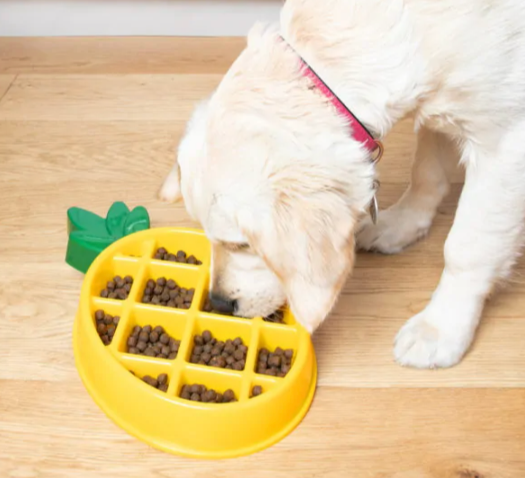ZIPPY PAWS HAPPY DOG BOWL - PINEAPPLE