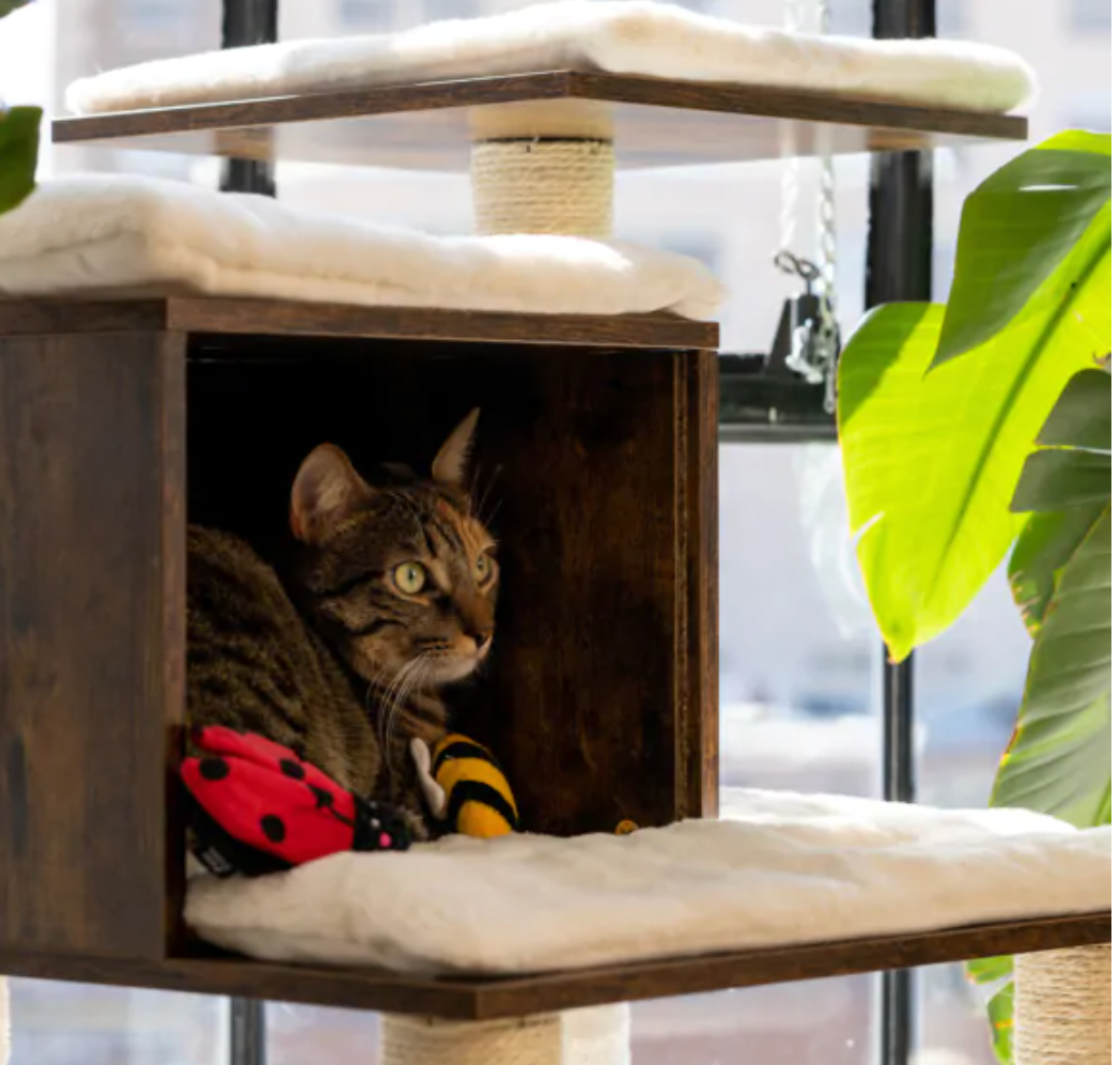 ZIPPYCLAWS 2-PACK CAT TOY - LADYBUG AND BEE