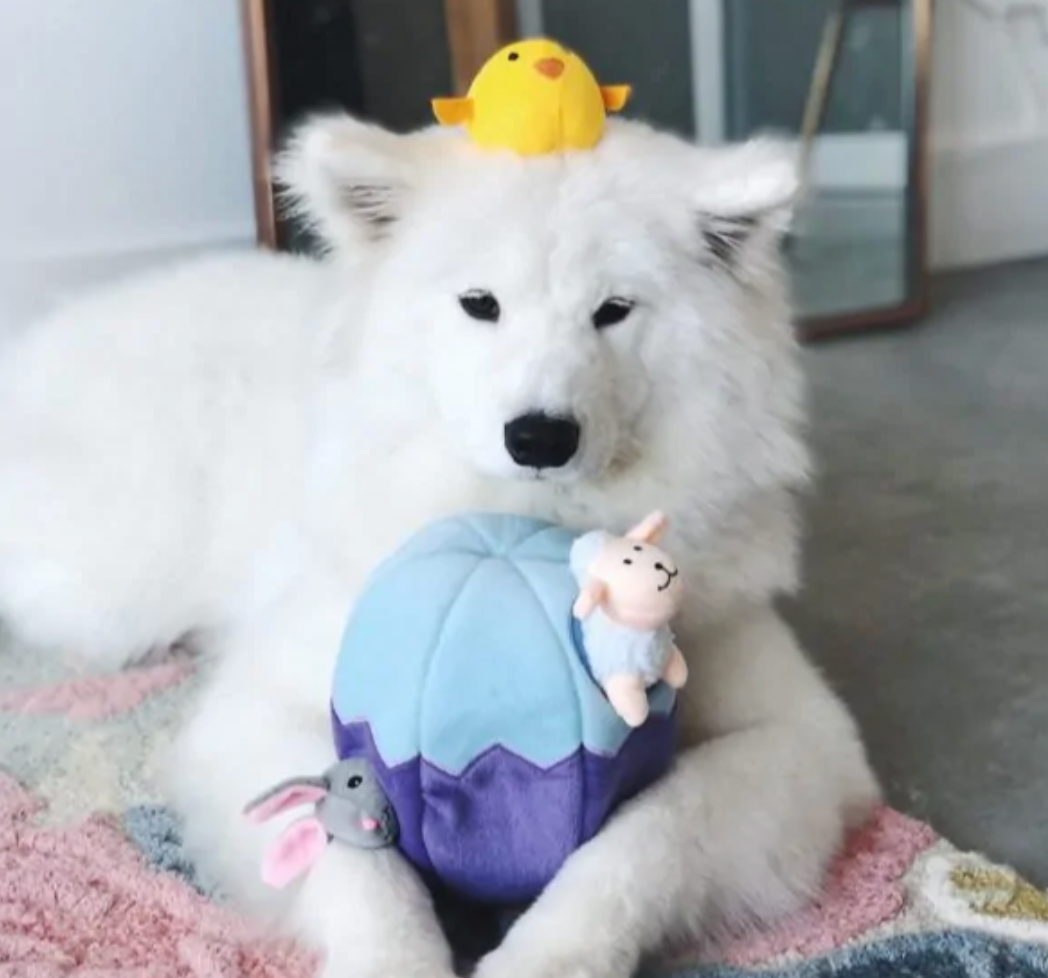 ZIPPY PAWS ZIPPY BURROW DOG TOY - EASTER EGG WITH FRIENDS