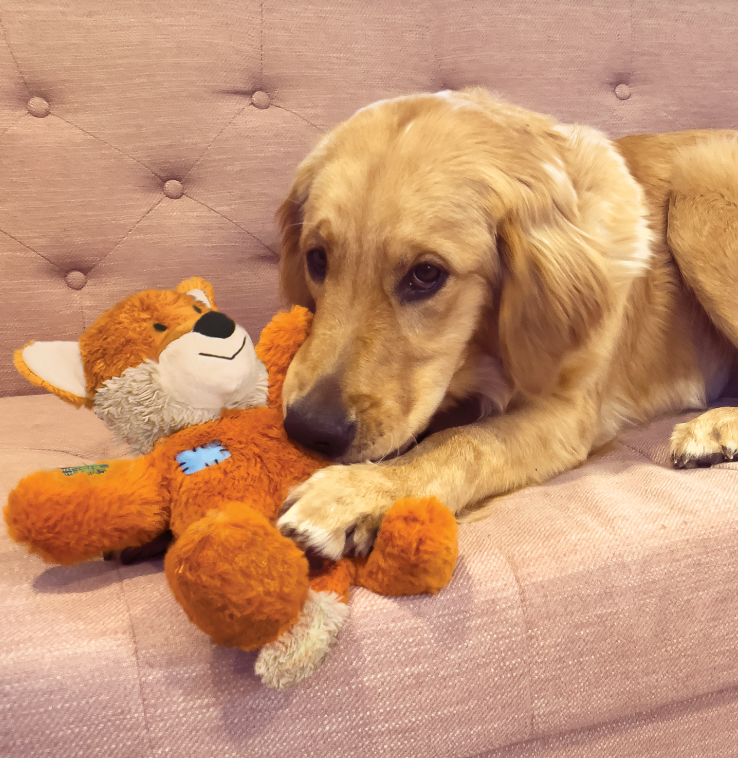 KONG WILD KNOTS FOX DOG TOY