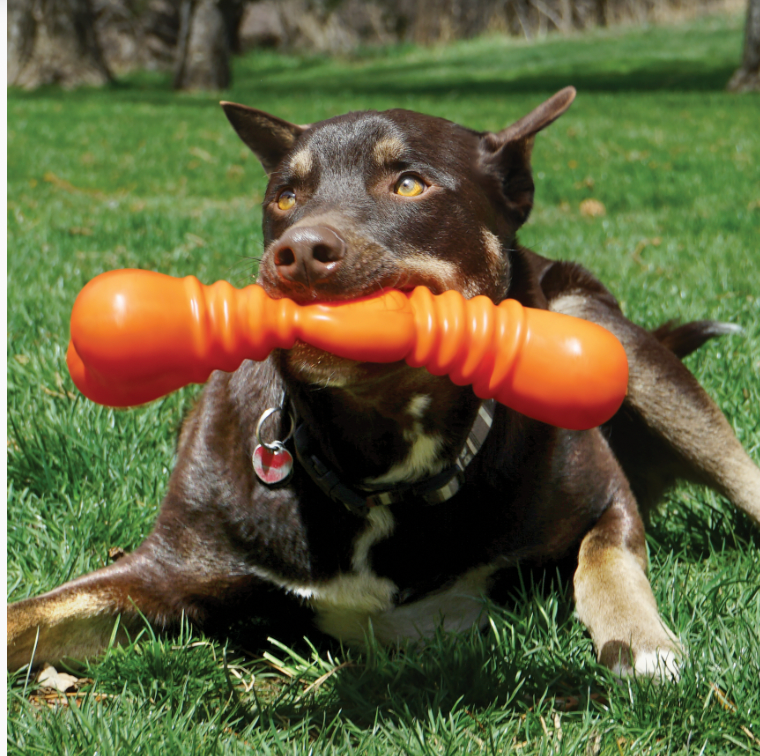 KONG SQUEAKSTIX WIGGLERZ DOG TOY