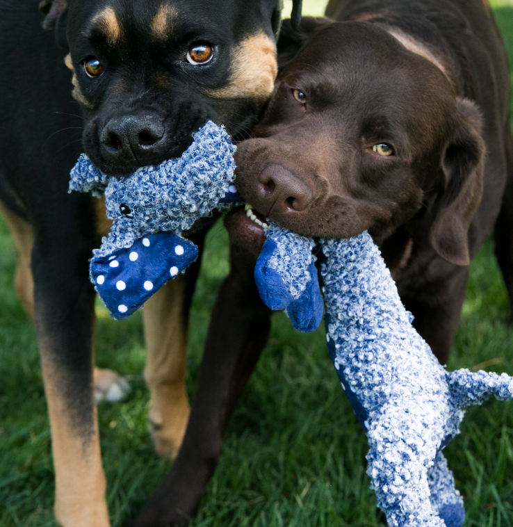 KONG SHAKERS LUVS ELEPHANT DOG TOY