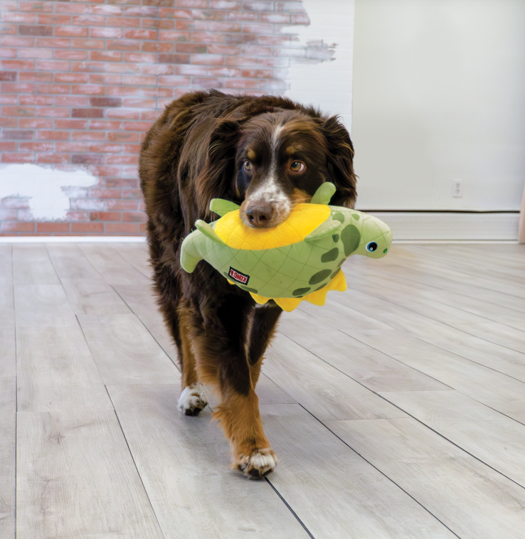 KONG DYNOS ROARS DOG TOY