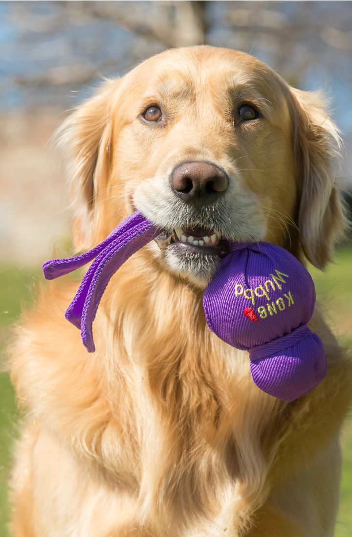 KONG WUBBA DOG TOY