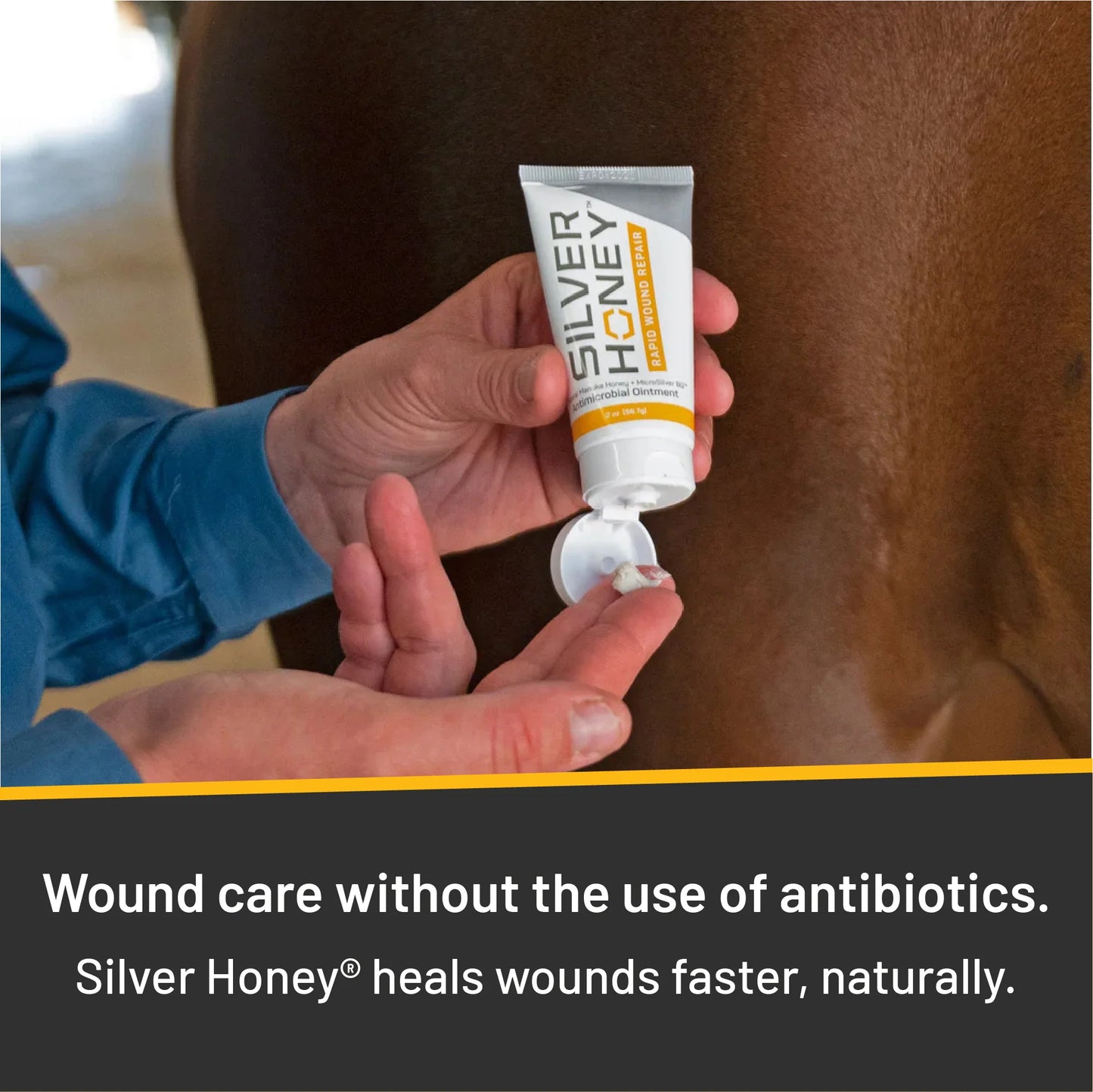 THE MISSING LINK® SILVER HONEY™ HOT SPOT & WOUND CARE OINTMENT