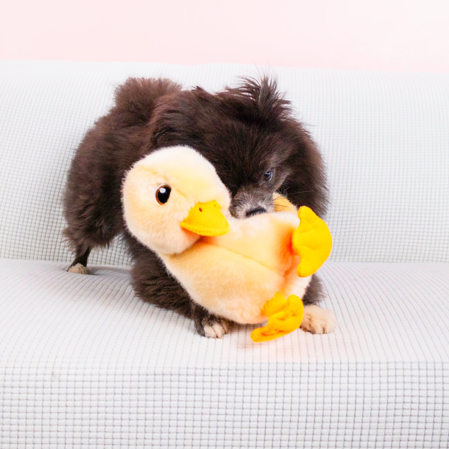 KONG TOUGHZ DUCK DOG TOY