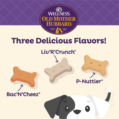 OLD MOTHER HUBBARD CRUNCHY CLASSIC BISCUITS: SAVOURY MIX