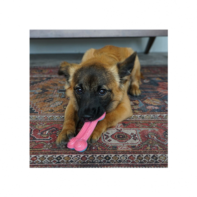 KONG PUPPY CURVE CHEWSTIX DOG TOY