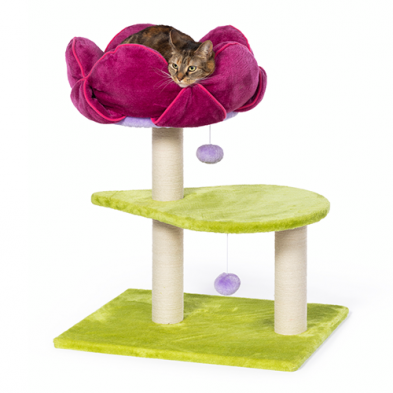 Prevue Hendryx™ Flower Power Cat Tree & Scratcher