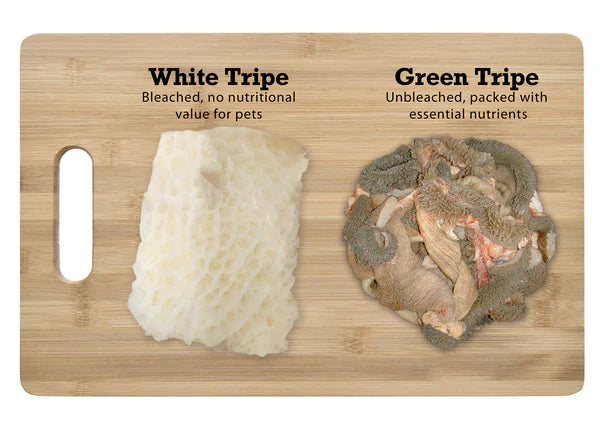 PETKIND® TRIPETT® GREEN LAMB TRIPE WET DOG FOOD - 13OZ