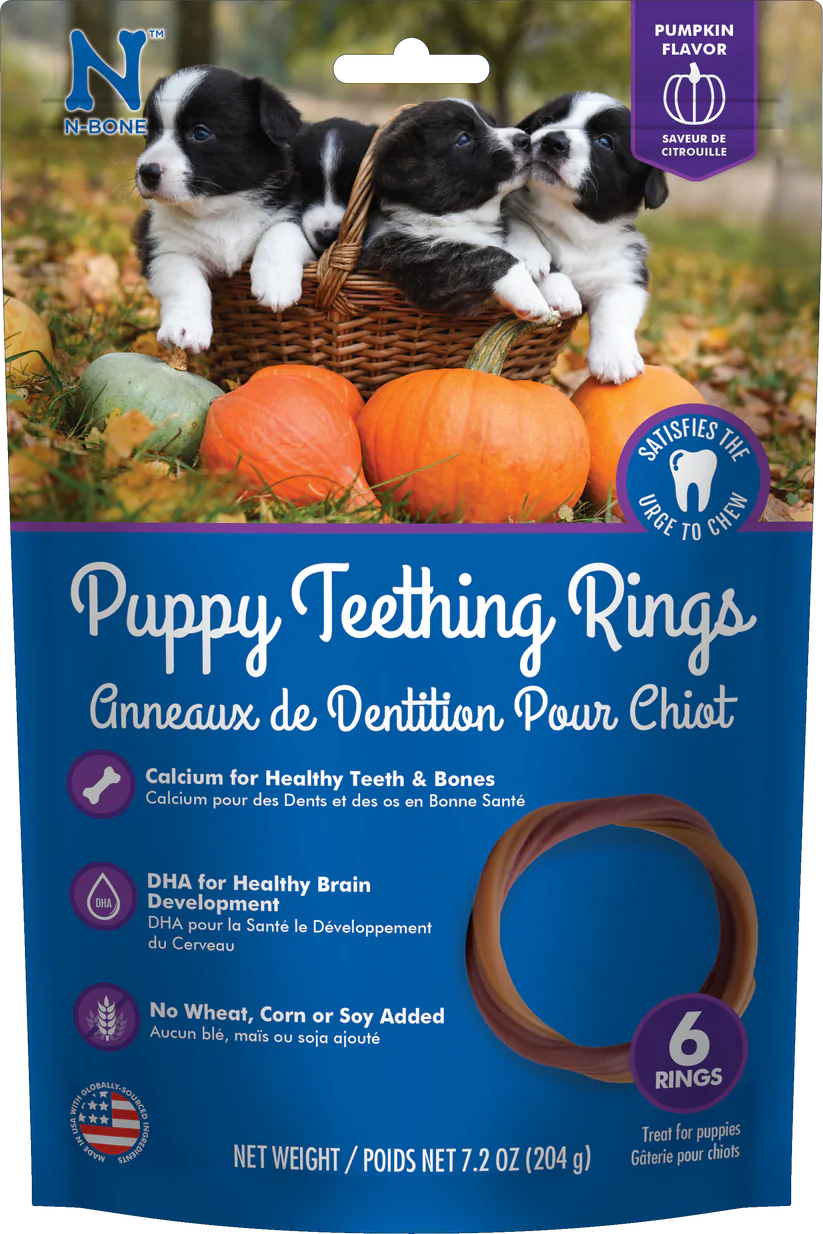 N-BONE PUPPY TEETHING RINGS PUMPKIN FALVOR PUMPKIN FLAVOR