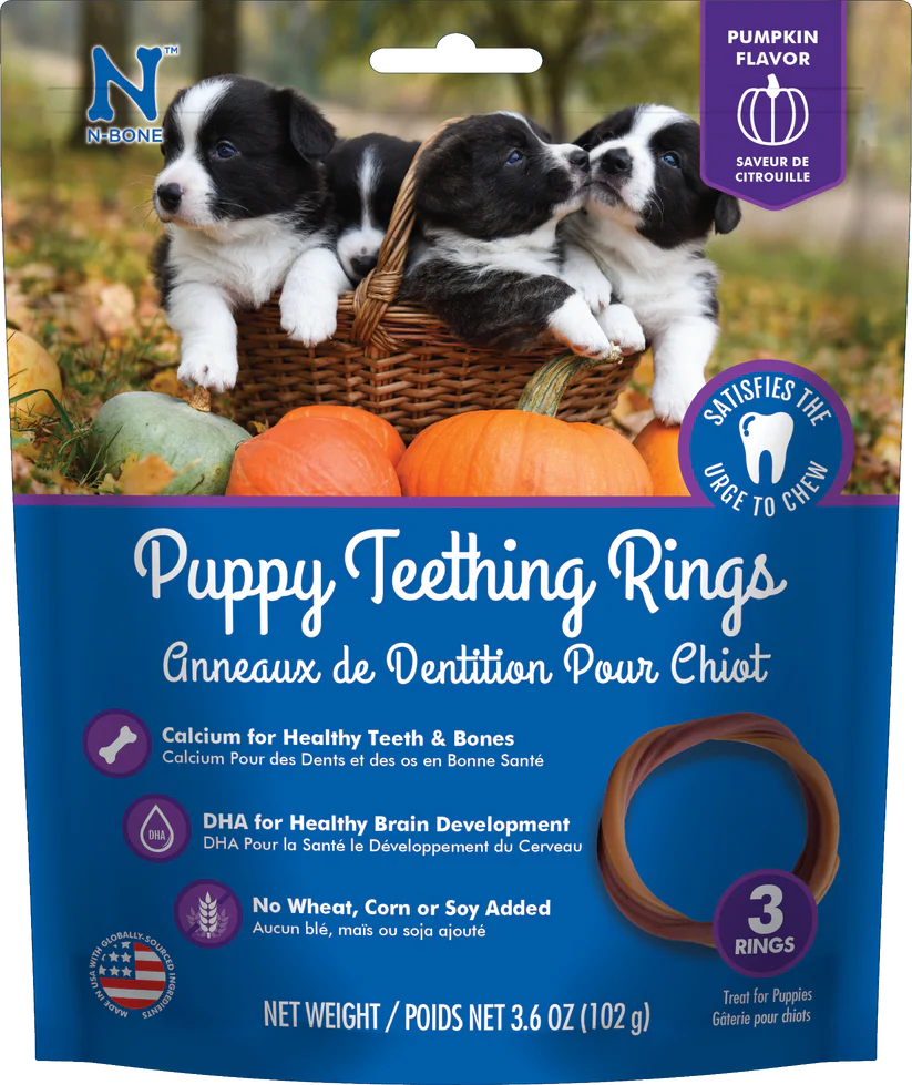 N-BONE PUPPY TEETHING RINGS PUMPKIN FALVOR PUMPKIN FLAVOR