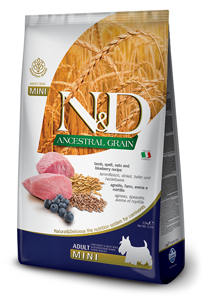 FARMINA N&D ANCESTRAL GRAIN - LAMB & BLUEBERRY ADULT MINI BREED