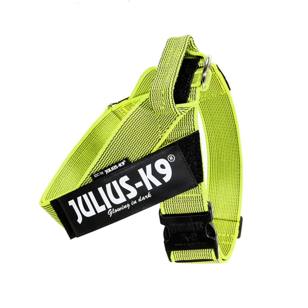 JULIUS-K9 IDC® BELT HARNESS