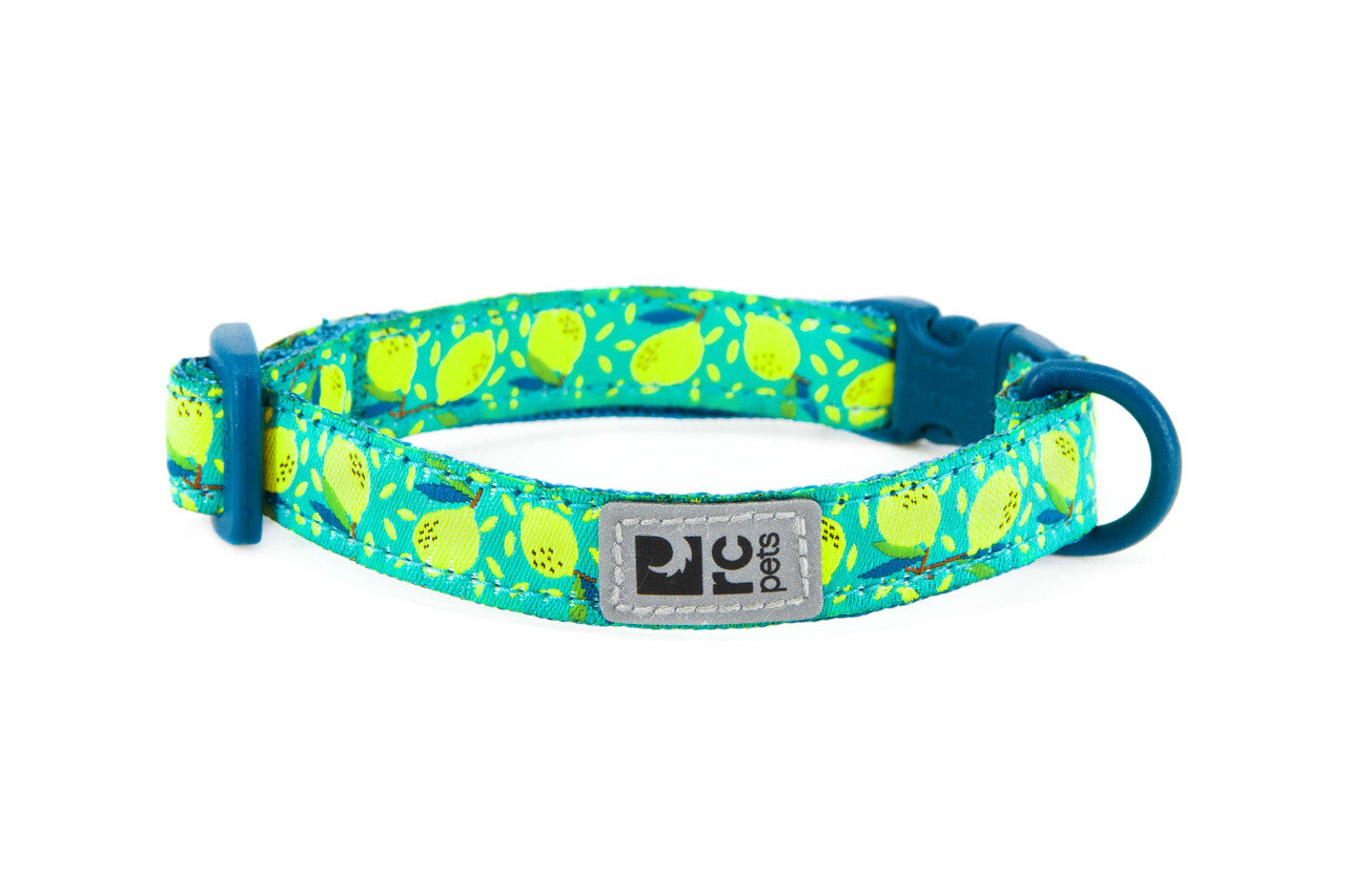 RC PETS PRIMARY KITTY BREAKWAY COLLAR FOR CATS- PATTERN