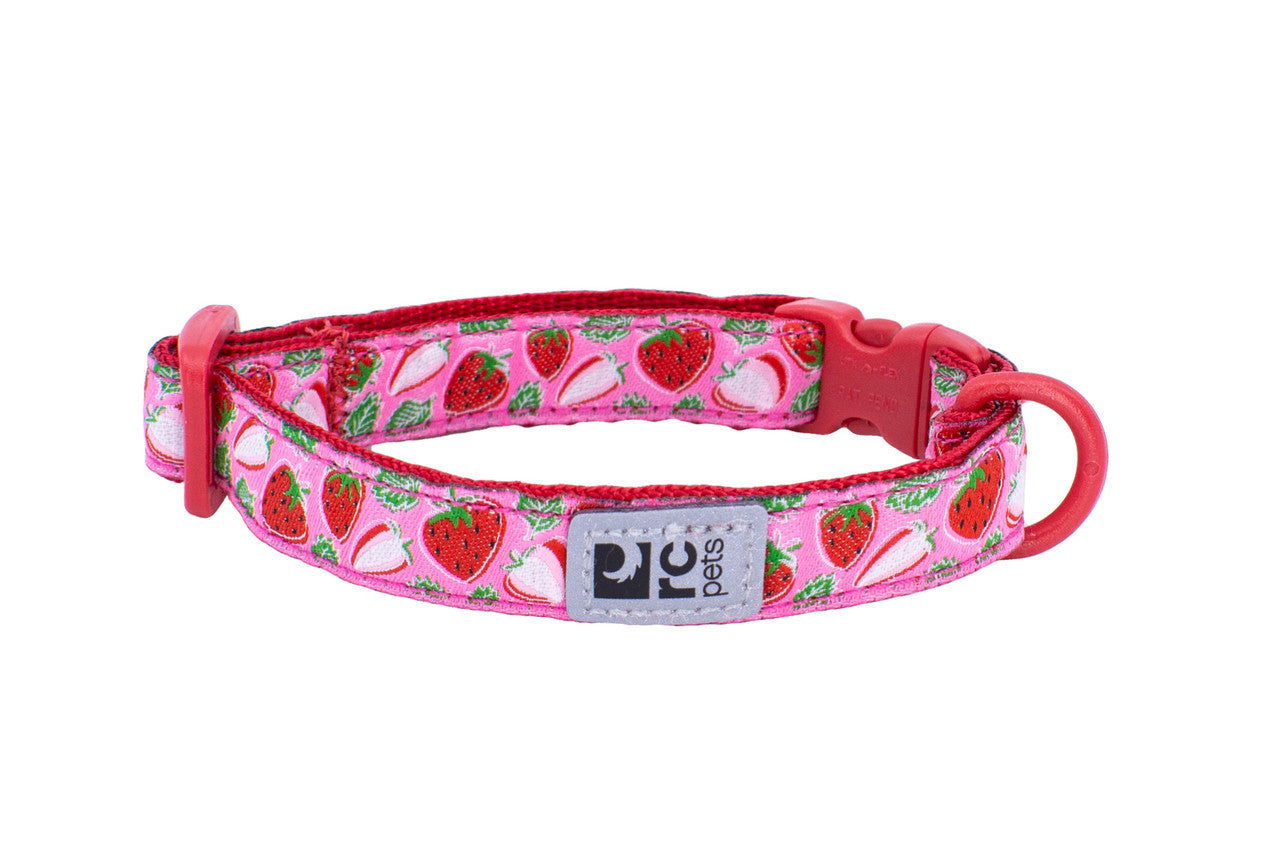 RC PETS PRIMARY KITTY BREAKWAY COLLAR FOR CATS- PATTERN